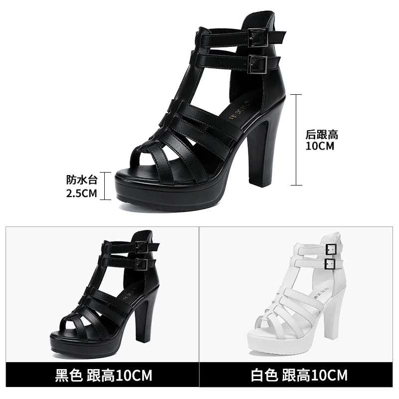 Gladiator Ladies Shoe for Wome - Women'S Shoes Quality ulasan dan harga